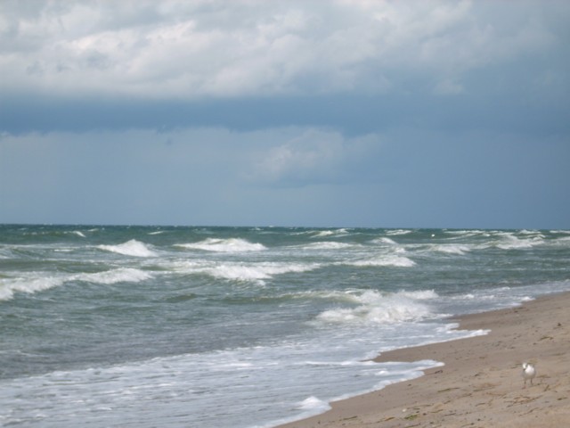 Starkwind am Strand