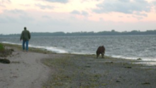 Wildschwein